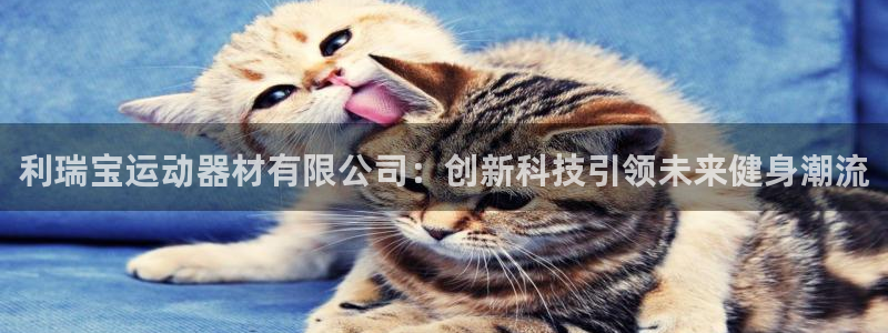 征途国际招商电话号码：利瑞宝运动器材有限公司：创新科