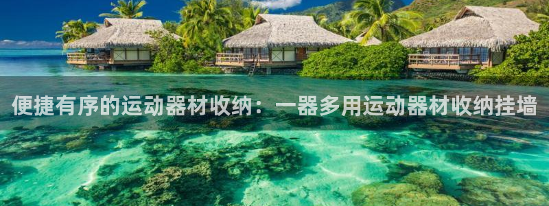 征途国际集团官网网址：便捷有序的运动器材收纳：一器多