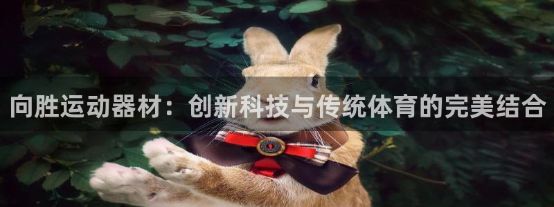 征途国际平台注册要钱吗安全吗：向胜运动器材：创新科技与传统体