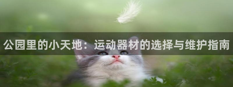 征途国际：公园里的小天地：运动器材的选择与维护指南