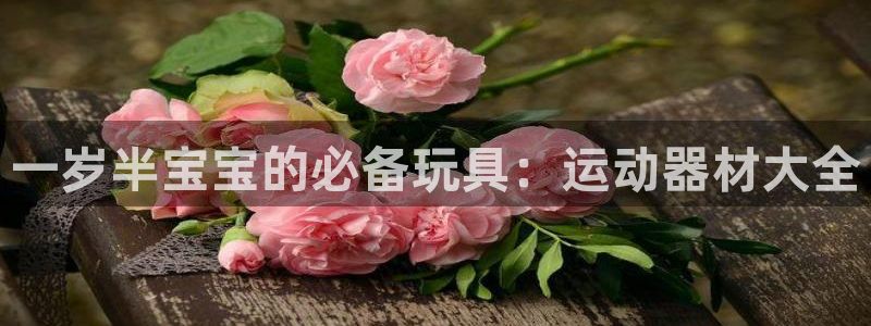 征途国际集团：一岁半宝宝的必备玩具：运动器材大全