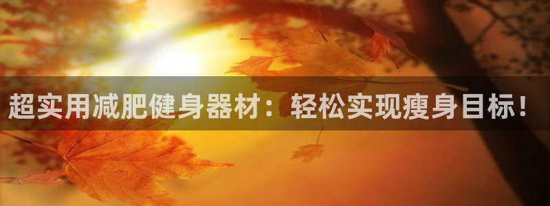 征途国际集团简介：超实用减肥健身器材：轻松实现瘦身目标！