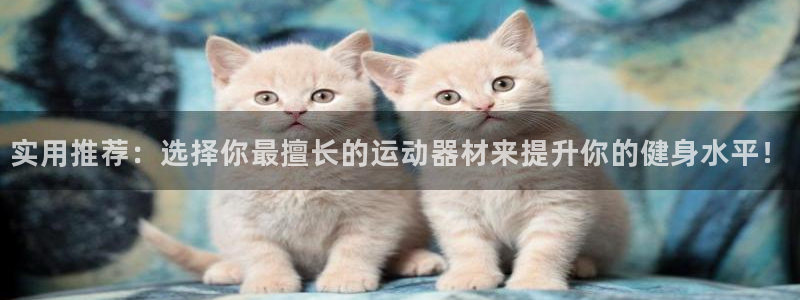 征途国际新能源：实用推荐：选择你最擅长的运动器材来提升你的健