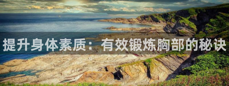 征途国际注册：提升身体素质：有效锻炼胸部的秘诀