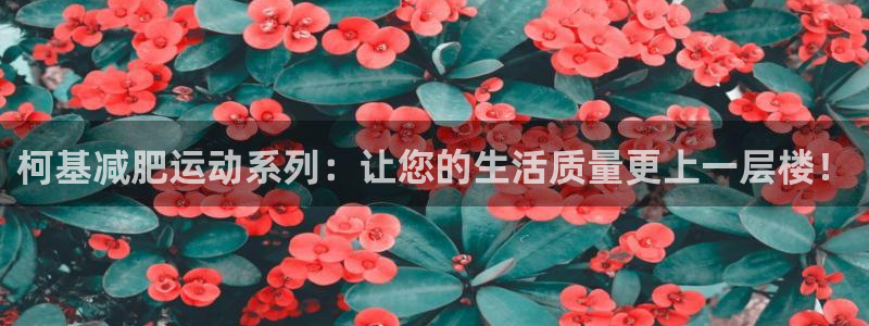 征途国际娱乐首页网站大全：柯基减肥运动系列：让您的生