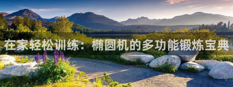 征途国际娱乐下载：在家轻松训练：椭圆机的多功能锻炼宝典