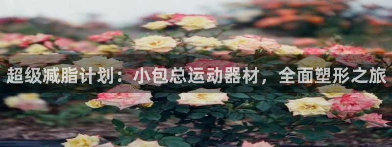 征途国际娱乐首页官网下载：超级减脂计划：小包总运动器