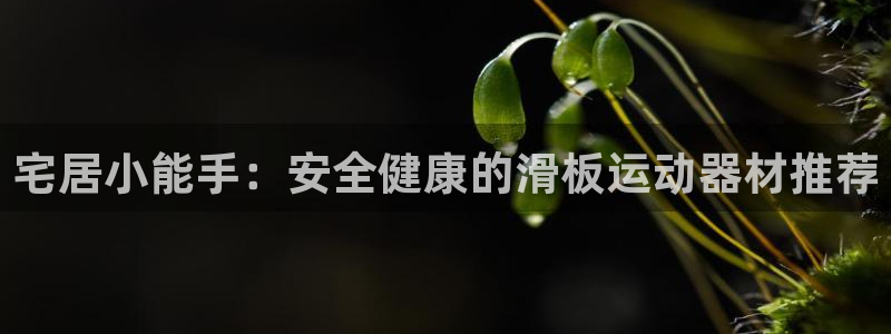 征途国际平台是正规平台吗安全吗：宅居小能手：安全健康