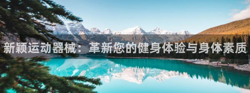 征途国际平台APP：新颖运动器械：革新您的健身体验与身体素质