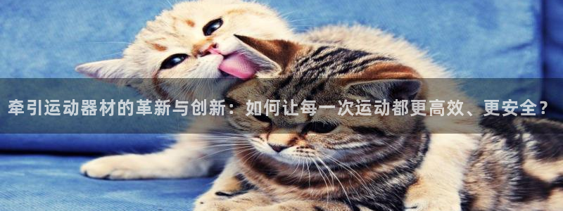 征途国际开户：牵引运动器材的革新与创新：如何让每一次