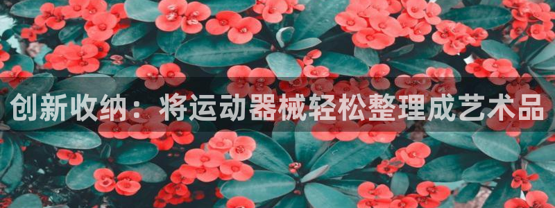 征途国际娱乐下载：创新收纳：将运动器械轻松整理成艺术品