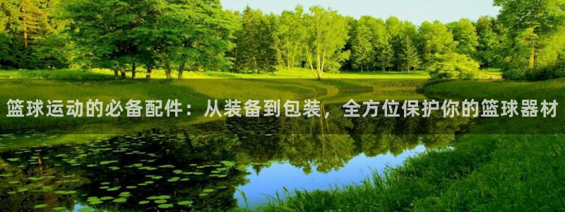 征途国际招商：篮球运动的必备配件：从装备到包装，全方