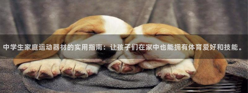 征途国际平台是正规平台吗：中学生家庭运动器材的实用指