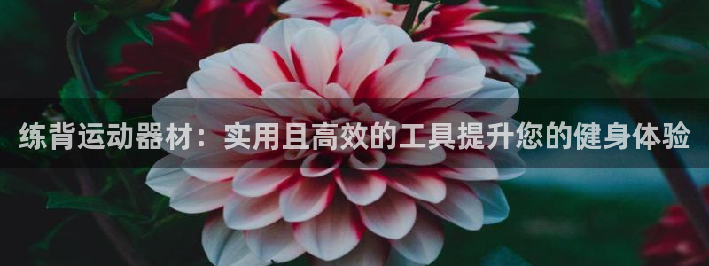 征途国际神州：练背运动器材：实用且高效的工具提升您的